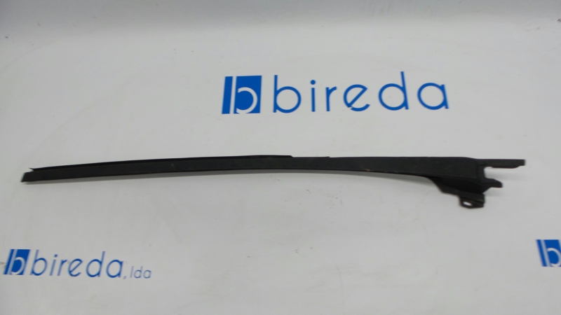 Friso Esquerdo Para Brisas RENAULT CLIO III (BR0/1, CR0/1) | 05 - 