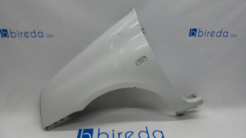 Guarda Lamas Frente Esquerdo RENAULT CLIO II (BB_, CB_) | 98 - 
