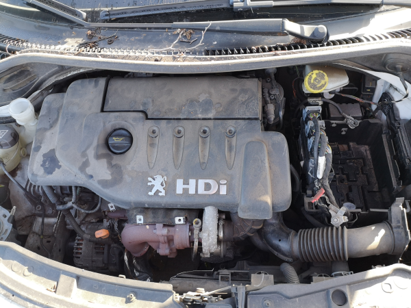 207  PEUGEOT - ID V_SALV20140077