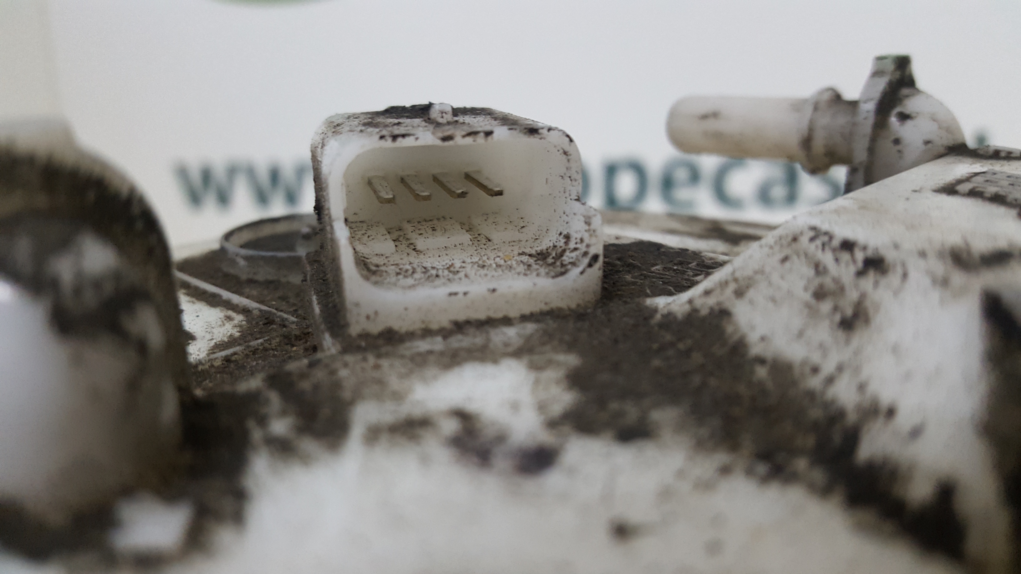 Boia do Combustível RENAULT MEGANE II (BM0/1_, CM0/1_) | 01 - 12 Imagem-2