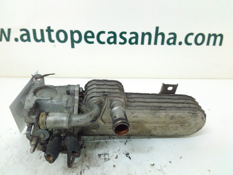 Válvula Egr SEAT - ID S_48881