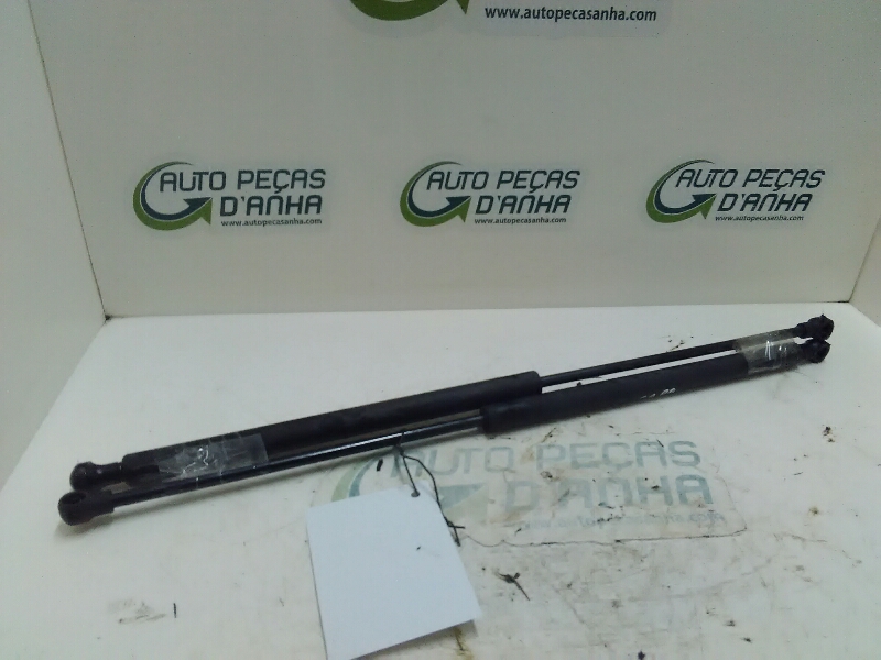 Amortecedor de Capot RENAULT - ID S_51623