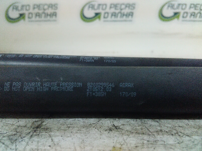 Amortecedores de Mala RENAULT CLIO III (BR0/1, CR0/1) | 05 -  Imagem-1