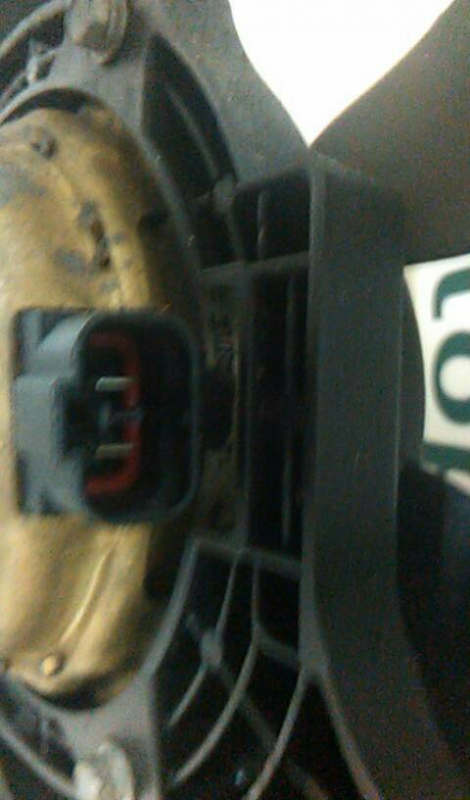 Termoventiladores NISSAN PRIMERA Combi (WP12) | 02 -  Imagem-1