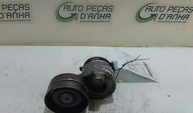 Esticador de Correia RENAULT MEGANE II (BM0/1_, CM0/1_) | 01 - 12 Imagem-1
