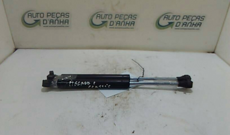 Amortecedores de Mala RENAULT - ID S_57036