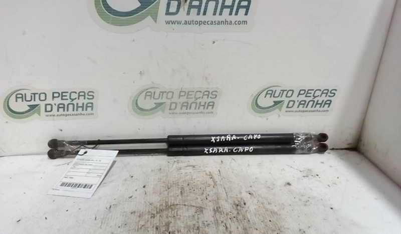 Amortecedor de Capot CITROEN - ID S_61574