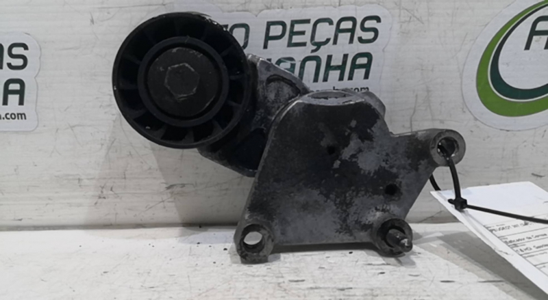 Esticador de Correia PEUGEOT 307 (3A/C) | 00 - 12 Imagem-1