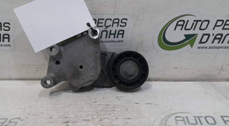 Esticador de Correia FORD FIESTA VI (CB1, CCN) | 08 -  Imagem-1