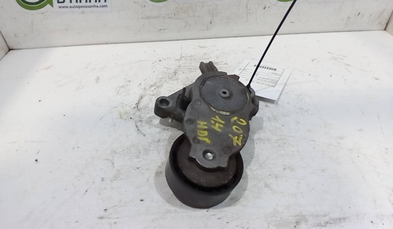 Esticador de Correia PEUGEOT 207 (WA_, WC_) | 06 - 15 Imagem-1