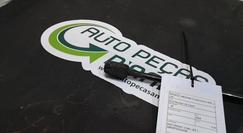 Amortecedor de Capot RENAULT MEGANE III Hatchback (BZ0/1_) | 08 -  Imagem-2