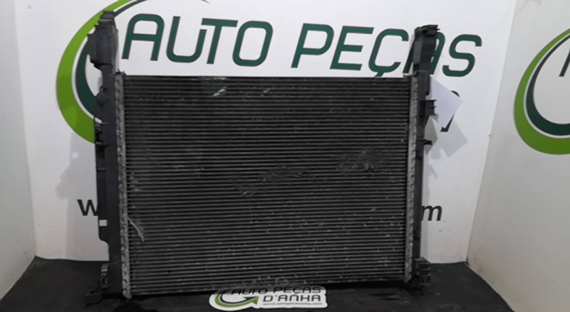 Radiador da água RENAULT - ID S_73154