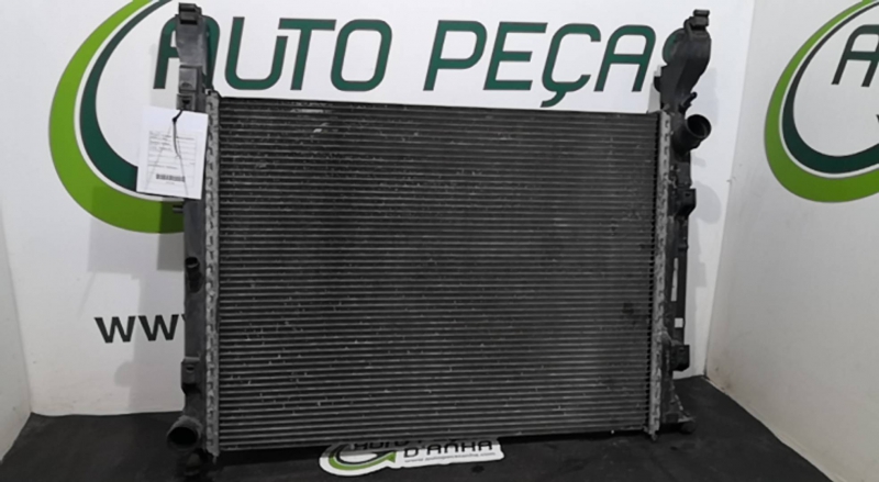 Radiador da água RENAULT KANGOO / GRAND KANGOO (KW0/1_) | 08 -  Imagem-1