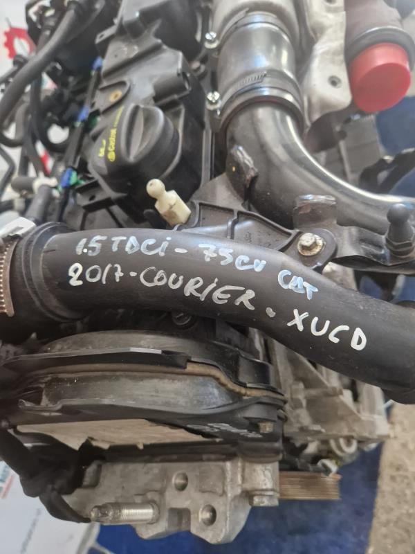 MOTOR COMBUSTÃO FORD TRANSIT COURIER B460 Caixa | 14 -  Imagem-6