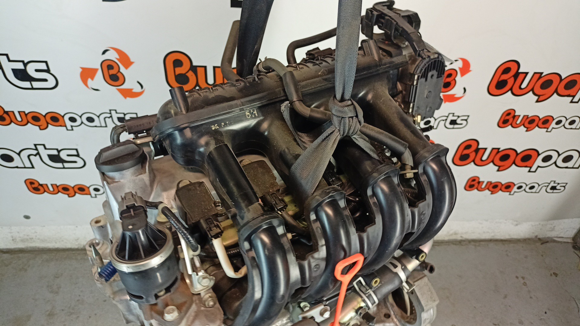 Motor Usado Gasolina HONDA JAZZ II (GD_, GE3, GE2) | 01 - 08
