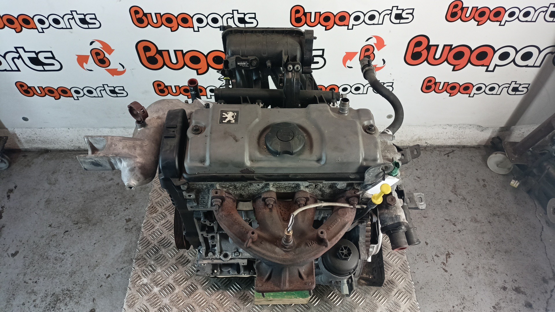 Motor Usado Gasolina PEUGEOT 206 Hatchback (2A/C) | 98 - 12