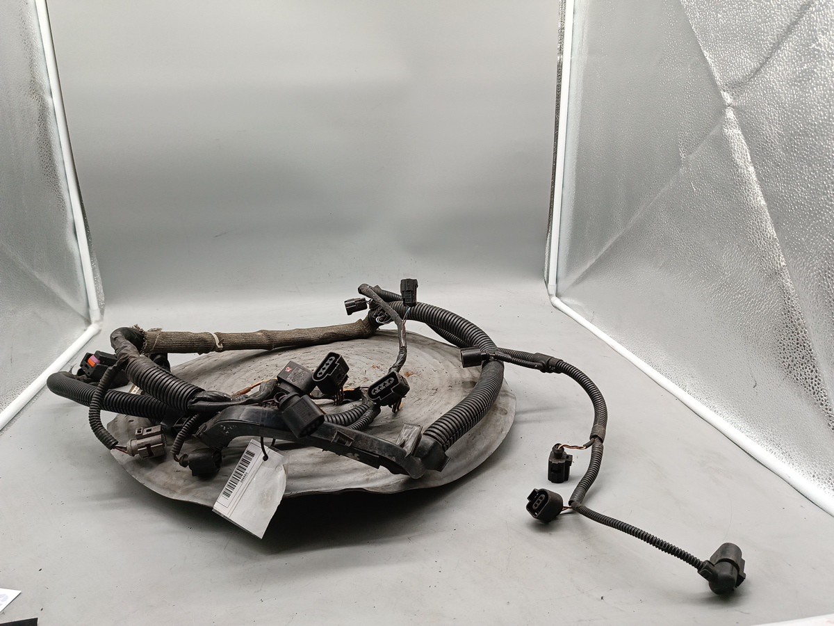 Cablagem Instalação Eletrica Motor SEAT IBIZA III (6L1) | 02 - 09