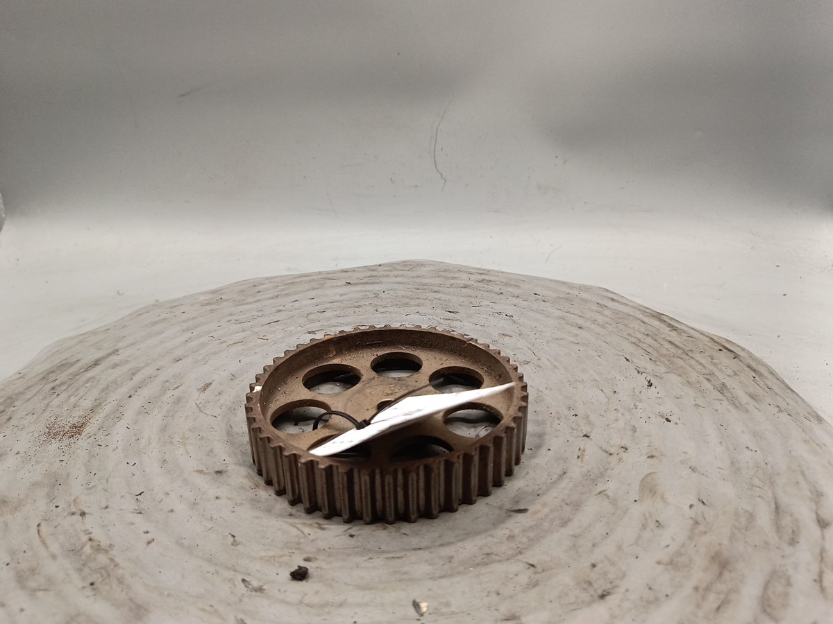 Carreto Polia Árvore Cames OPEL ASTRA G Hatchback (T98) | 98 - 09