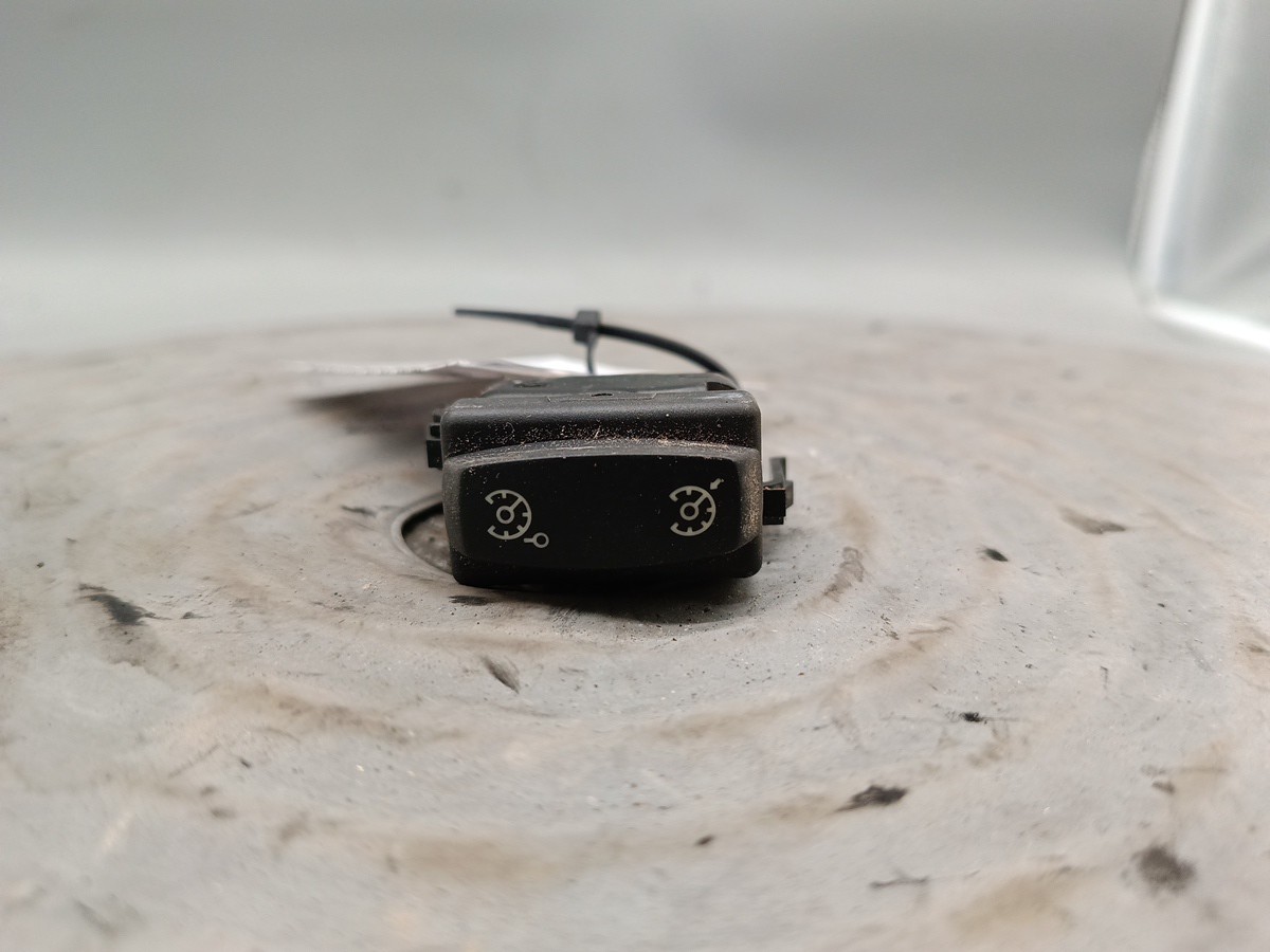 Cruise Control Switch Handle RENAULT LAGUNA II (BG0/1_) | 01 - 07