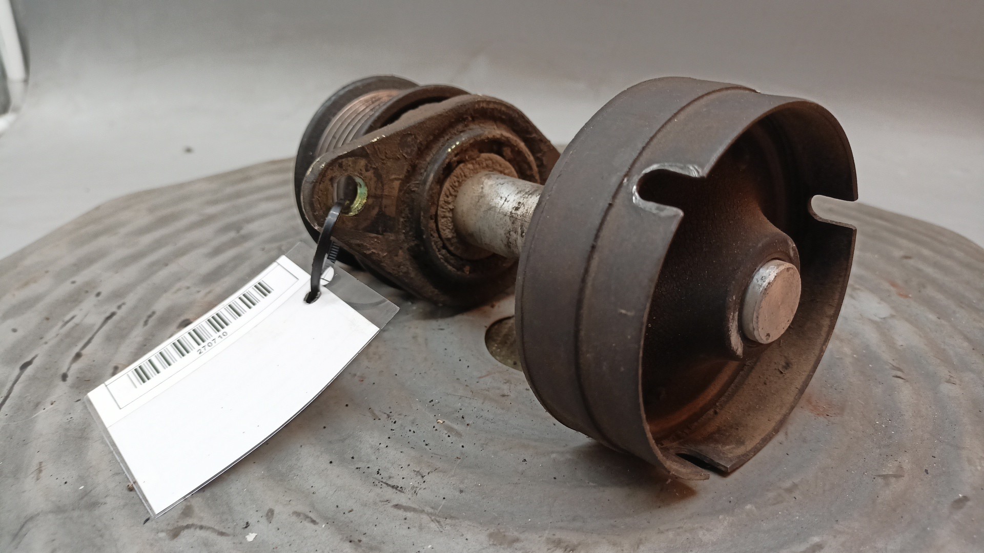 Poli Polia Correia Alternador FORD FOCUS três volumes (DFW) | 99 - 09