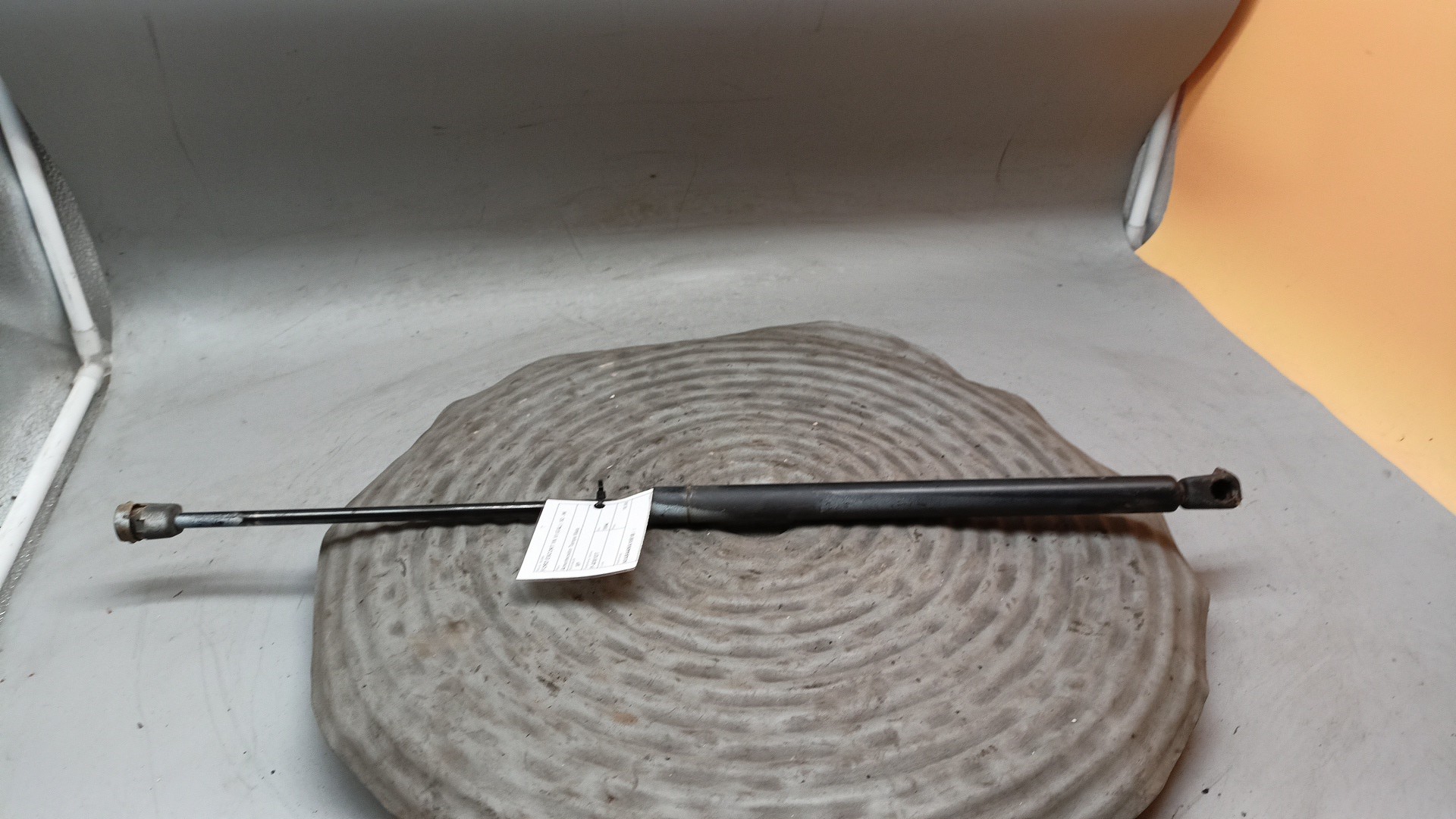 Pistoni Ammortizzatore portellone FORD ESCORT VI (GAL) | 92 - 96