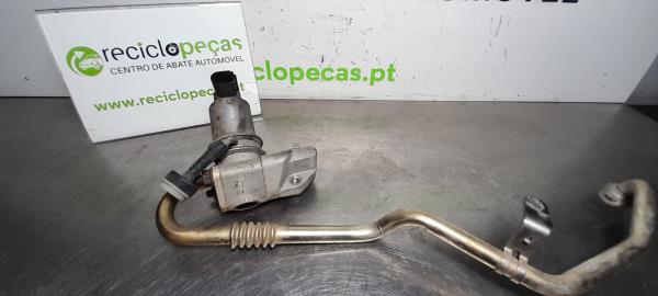 Valvula EGR (213404).