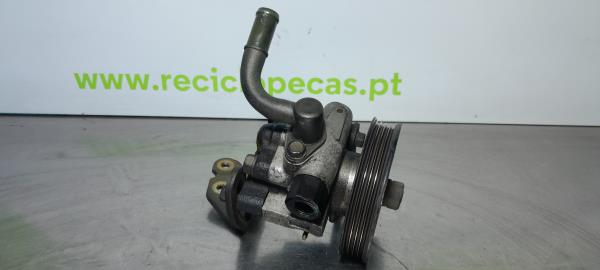 Bomba Direção Assistida (226724).