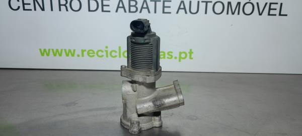 Valvula EGR (226862).