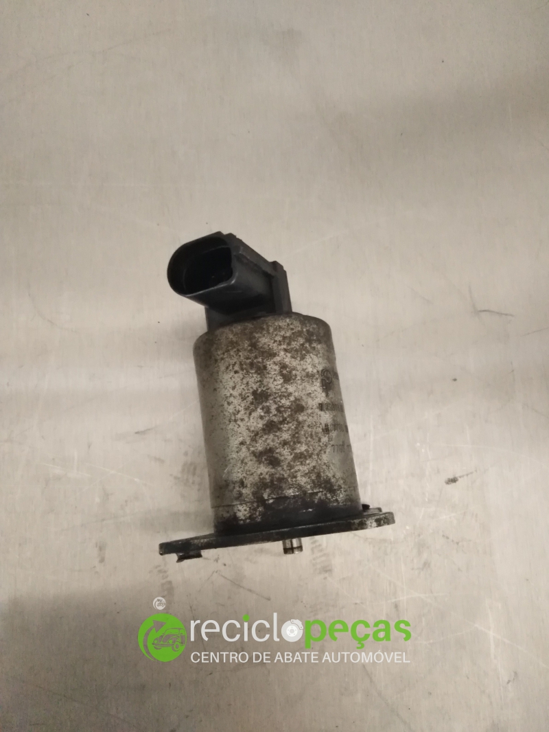 Valvula EGR (192396).