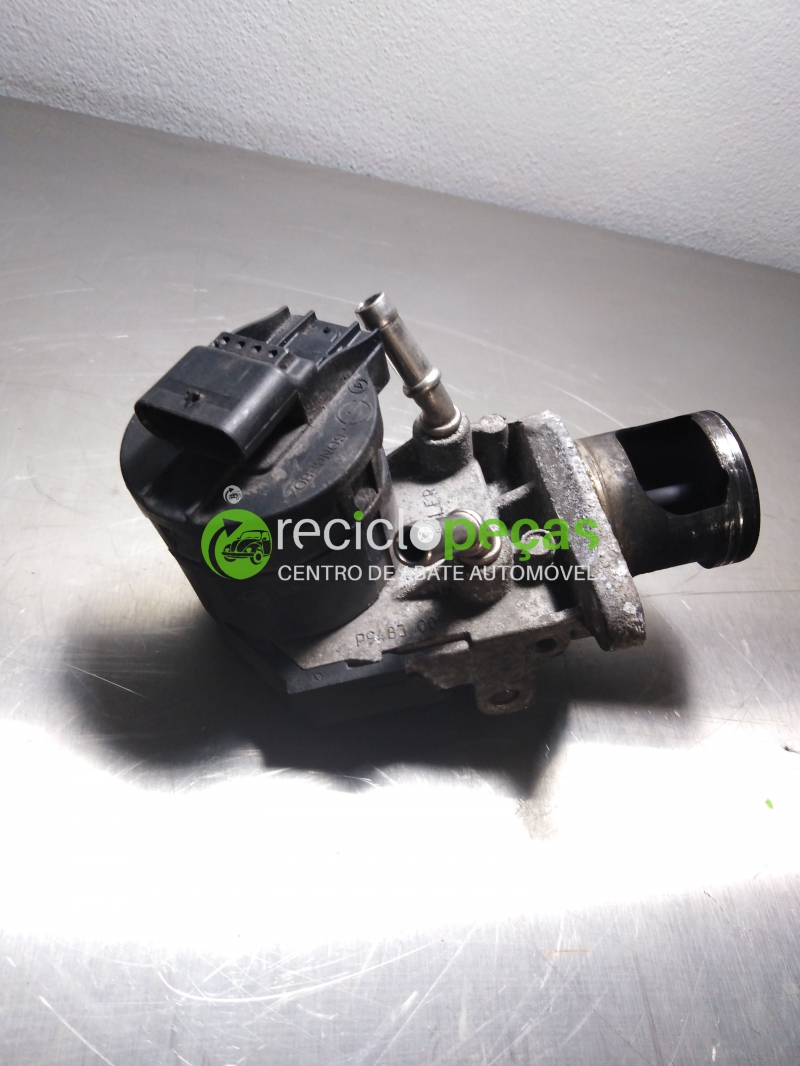 Valvula EGR (192451).