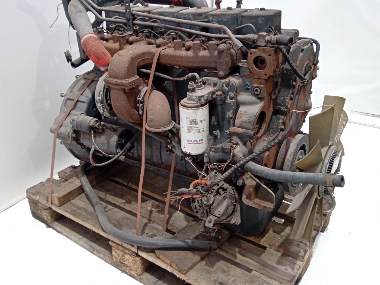 Engine DAF - Imagem-2