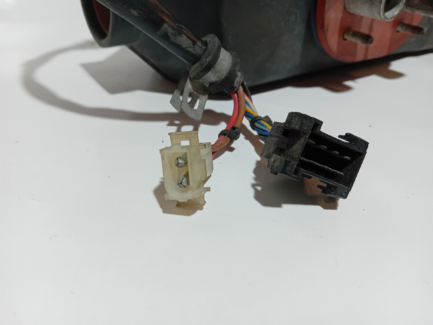 SOLFAGEM DE PARQUE SCANIA - Imagem-1