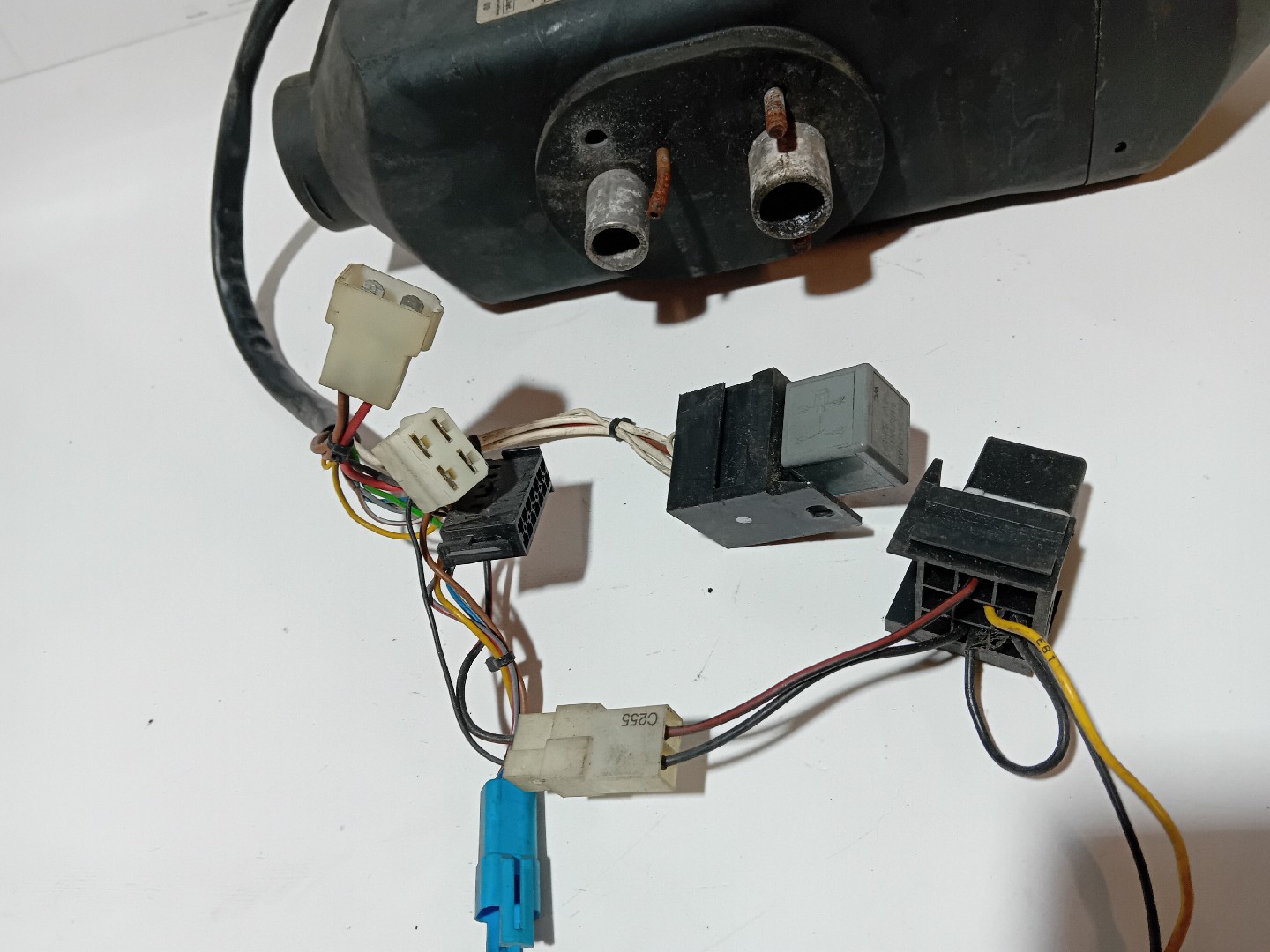 SOLFAGEM DE PARQUE SCANIA - Imagem-1