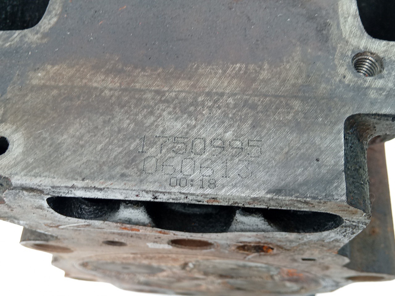 COLAÇA SCANIA - Imagem-2