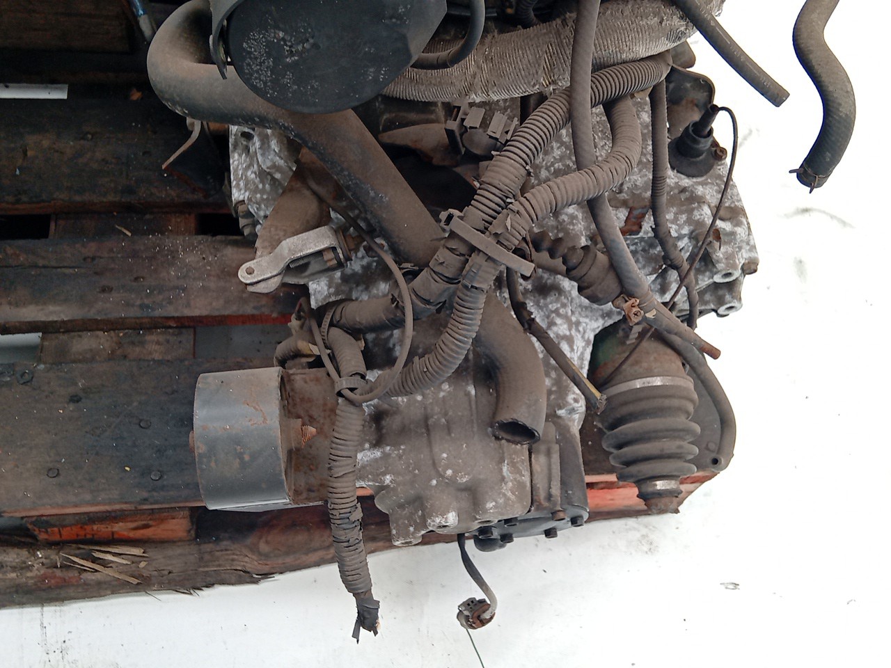 Motor NISSAN PRIMERA (P11) | 96 - 01 Imagem-3