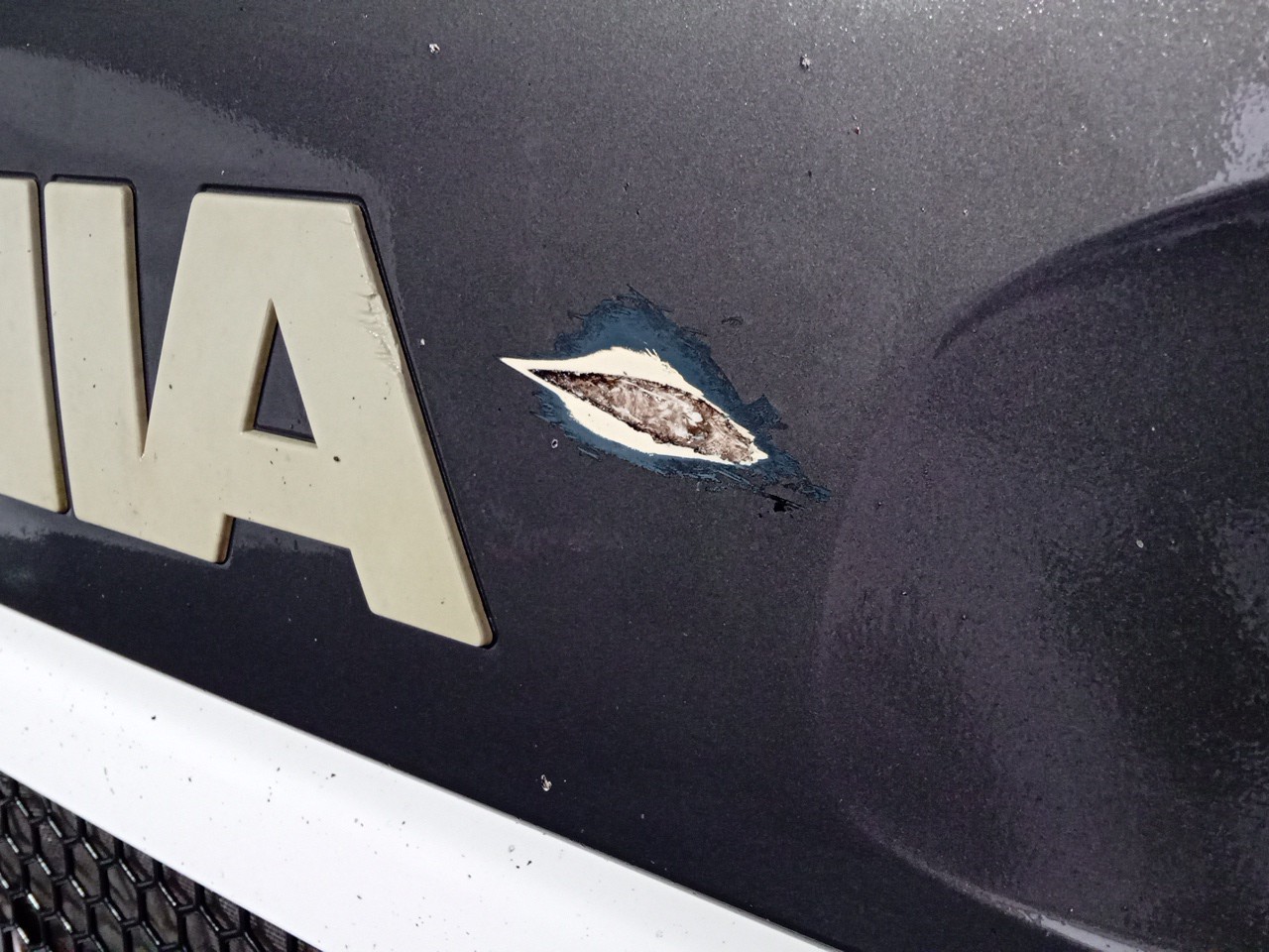 Grelha da Frente SCANIA P,G,R,T - series | 03 -  Imagem-1