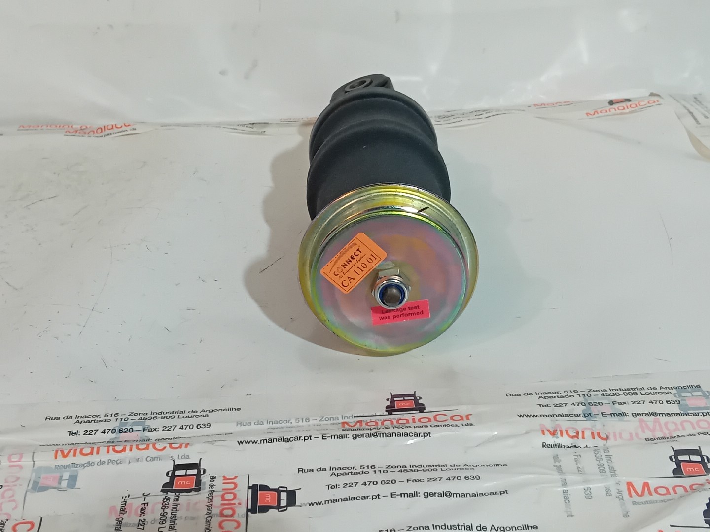 Pneumatico SCANIA - Imagem-1