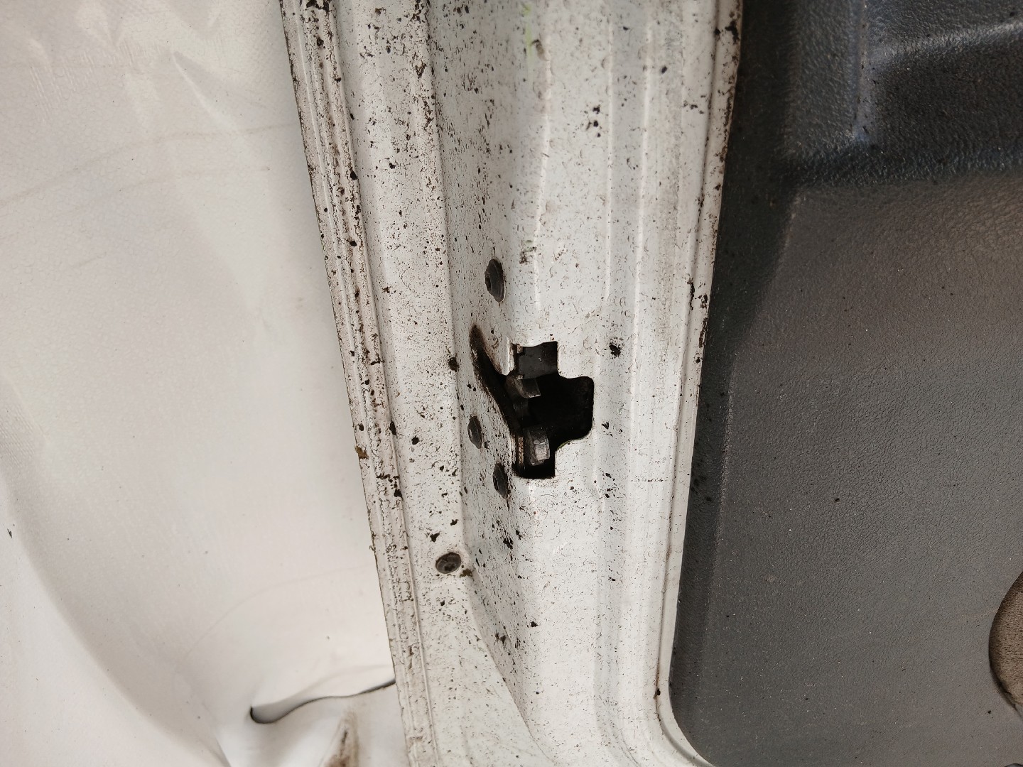 Front Door Left  RENAULT TRUCKS Premium 2 | 05 -  Imagem-8