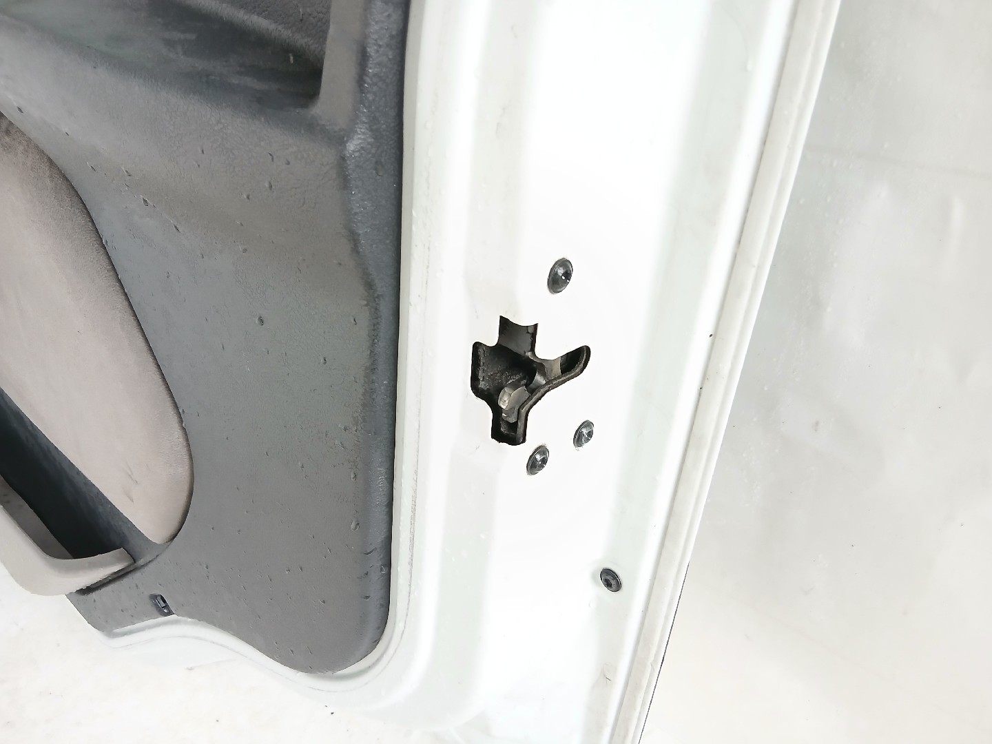 Porta Frente Dto RENAULT TRUCKS Premium 2 | 05 -  Imagem-6