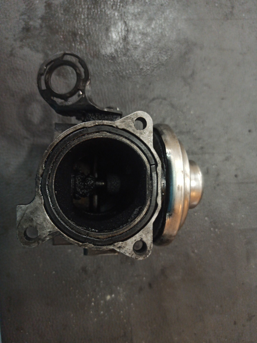 Válvula EGR AUDI A4 Avant (8D5, B5) | 94 - 02 Imagem-1