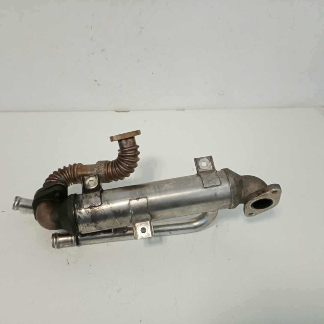 Válvula EGR VOLKSWAGEN PASSAT (3B3) | 00 - 05