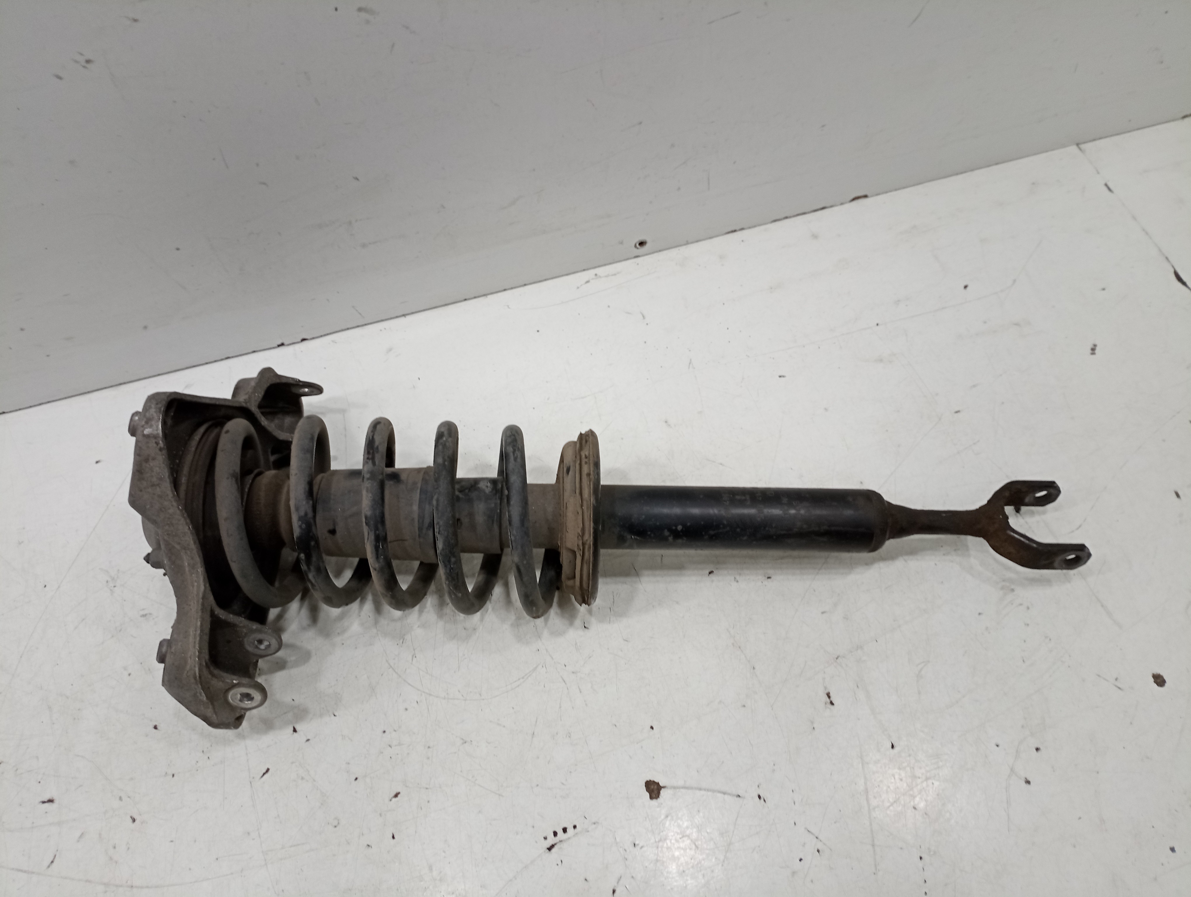 Amortecedor direito VOLKSWAGEN PASSAT (3B3) | 00 - 05