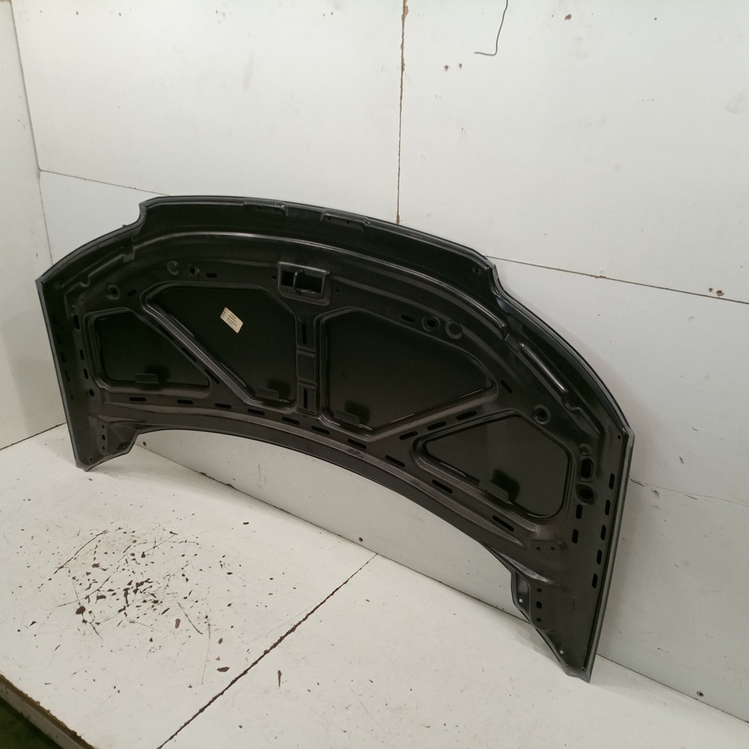 Capo VOLKSWAGEN SHARAN (7M8, 7M9, 7M6) | 95 - 10 Imagem-1