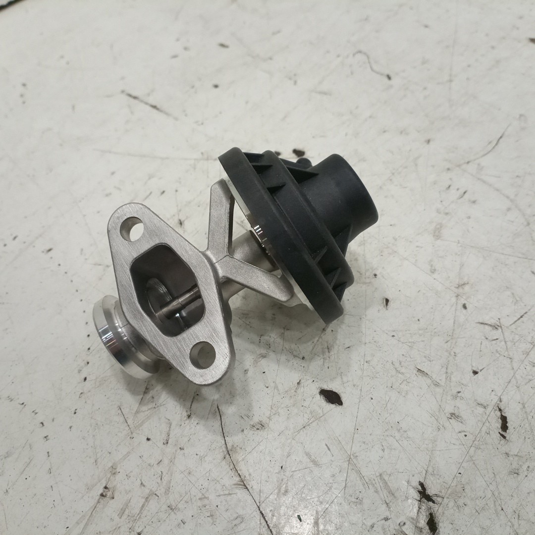 Válvula EGR VOLKSWAGEN CADDY III Caixa (2KA, 2KH, 2CA, 2CH) | 04 - 15 Imagem-1