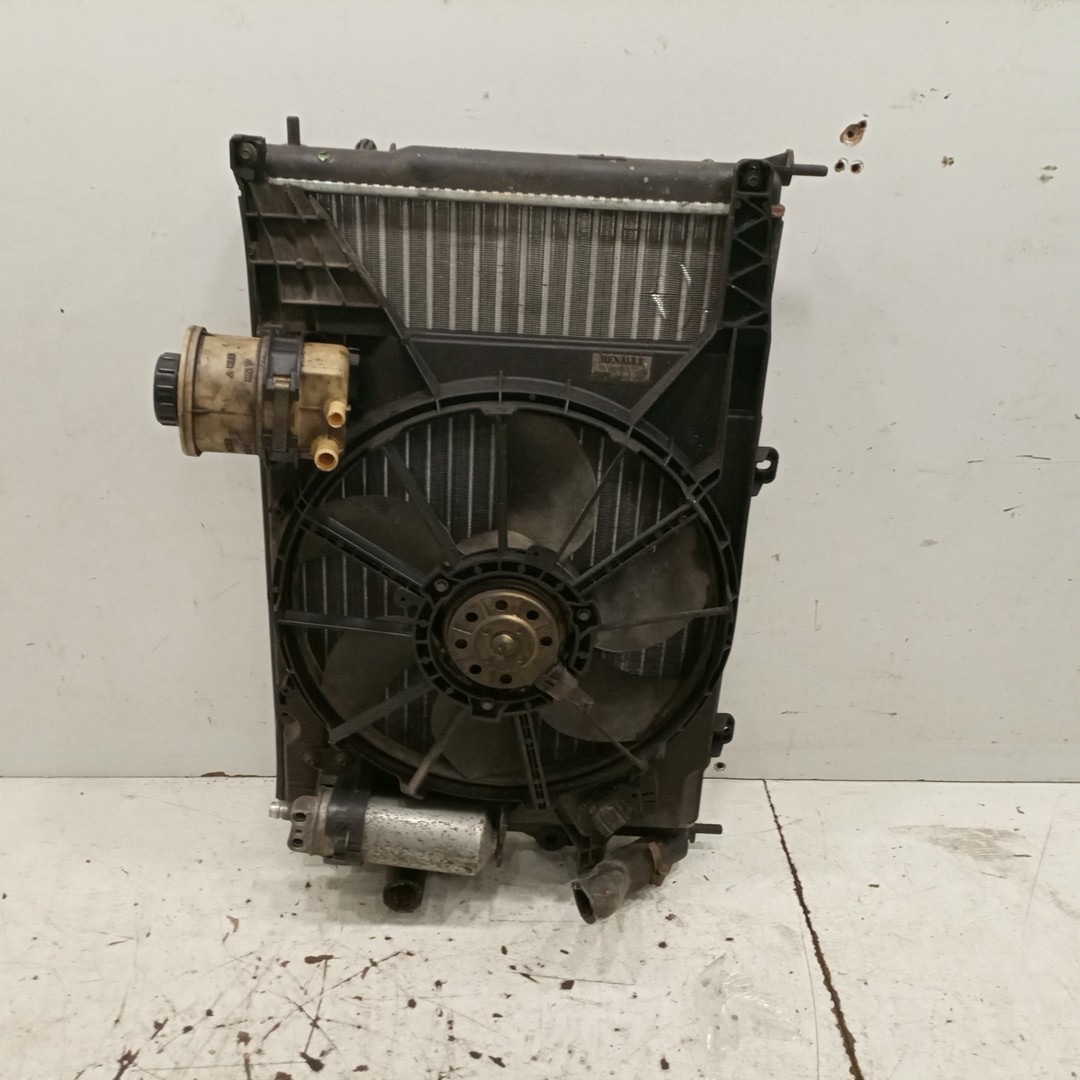 Radiador da Água RENAULT MEGANE I Coach (DA0/1_) | 96 - 03