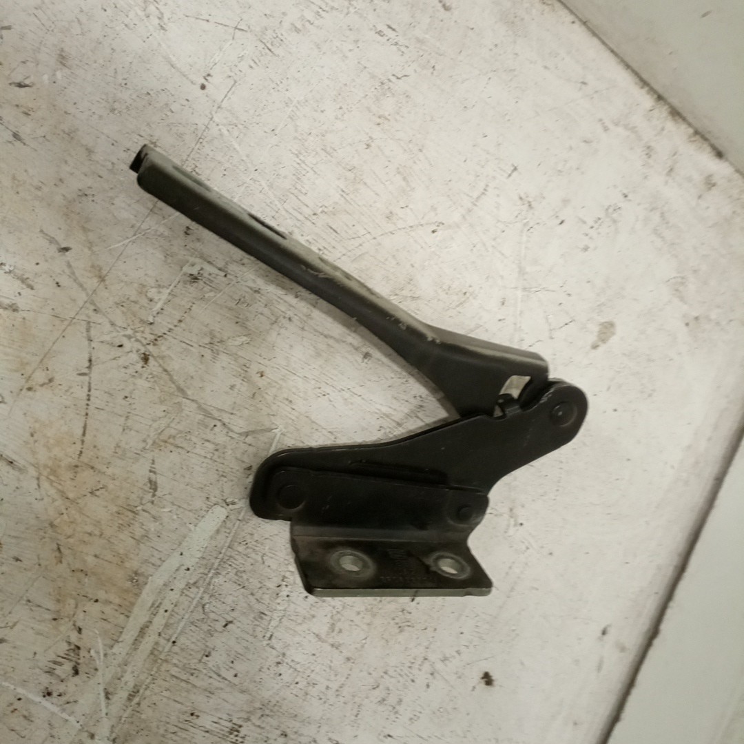 Dobradiças do capô SEAT EXEO (3R2) | 08 - 13 Imagem-1