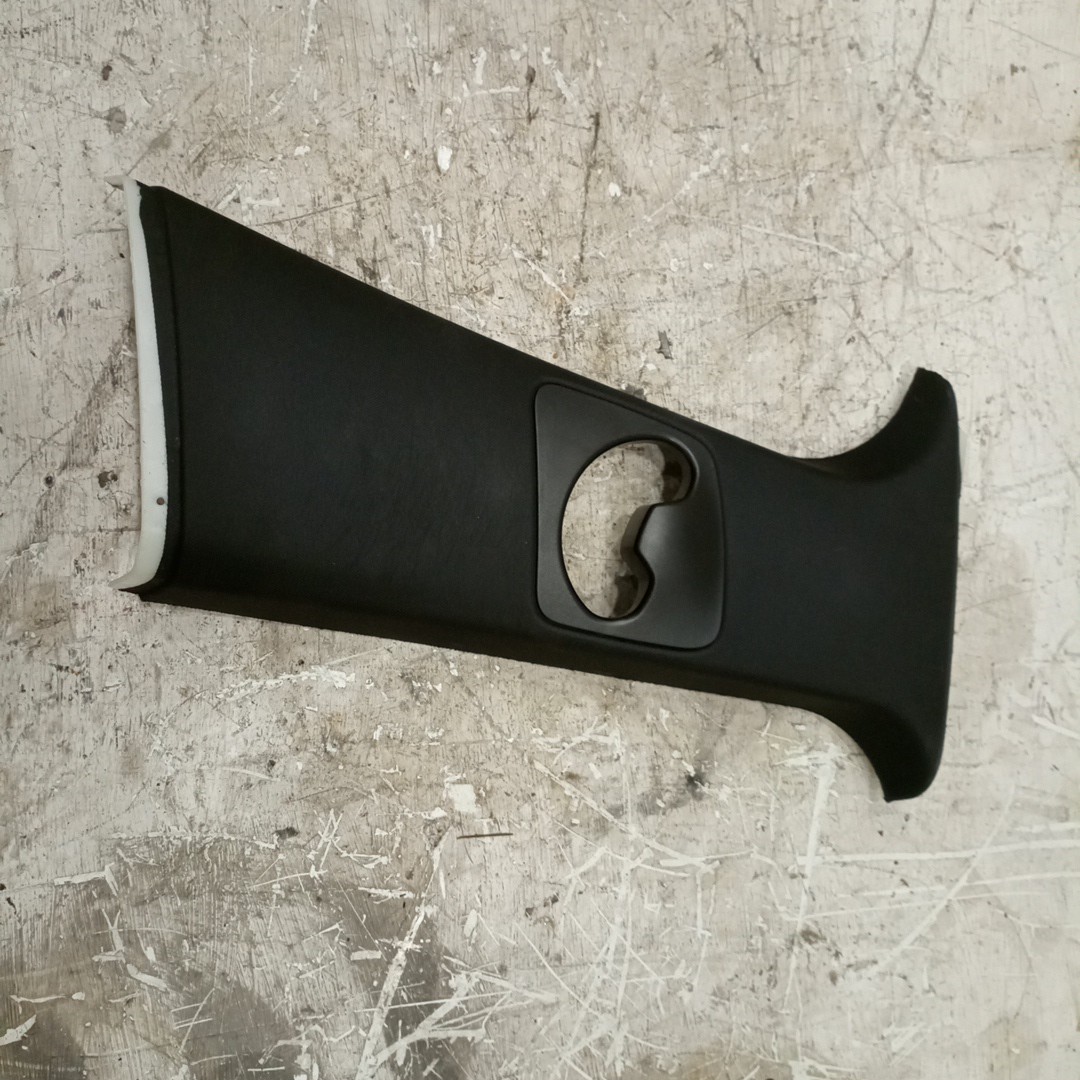 Moldura de pilar B direita BMW X6 (E71, E72) | 07 - 14