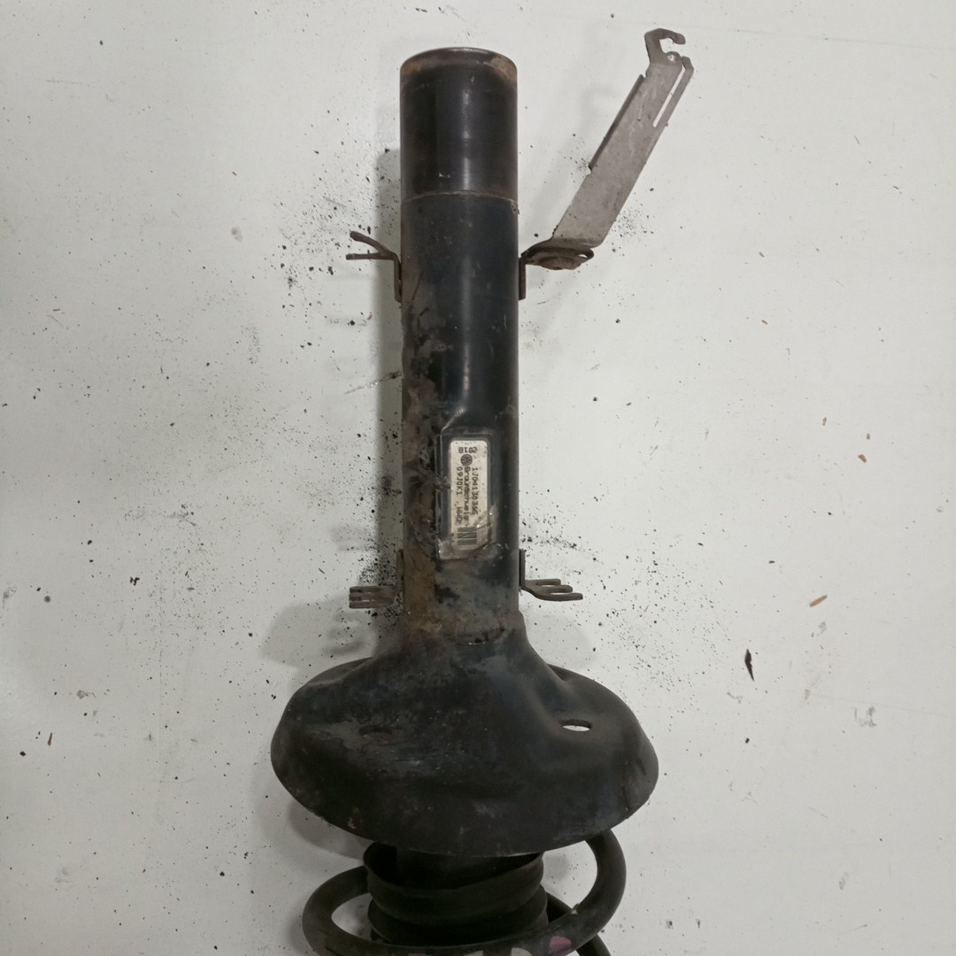 Amortecedor Dianteiro VOLKSWAGEN GOLF IV (1J1) | 97 - 07 Imagem-1