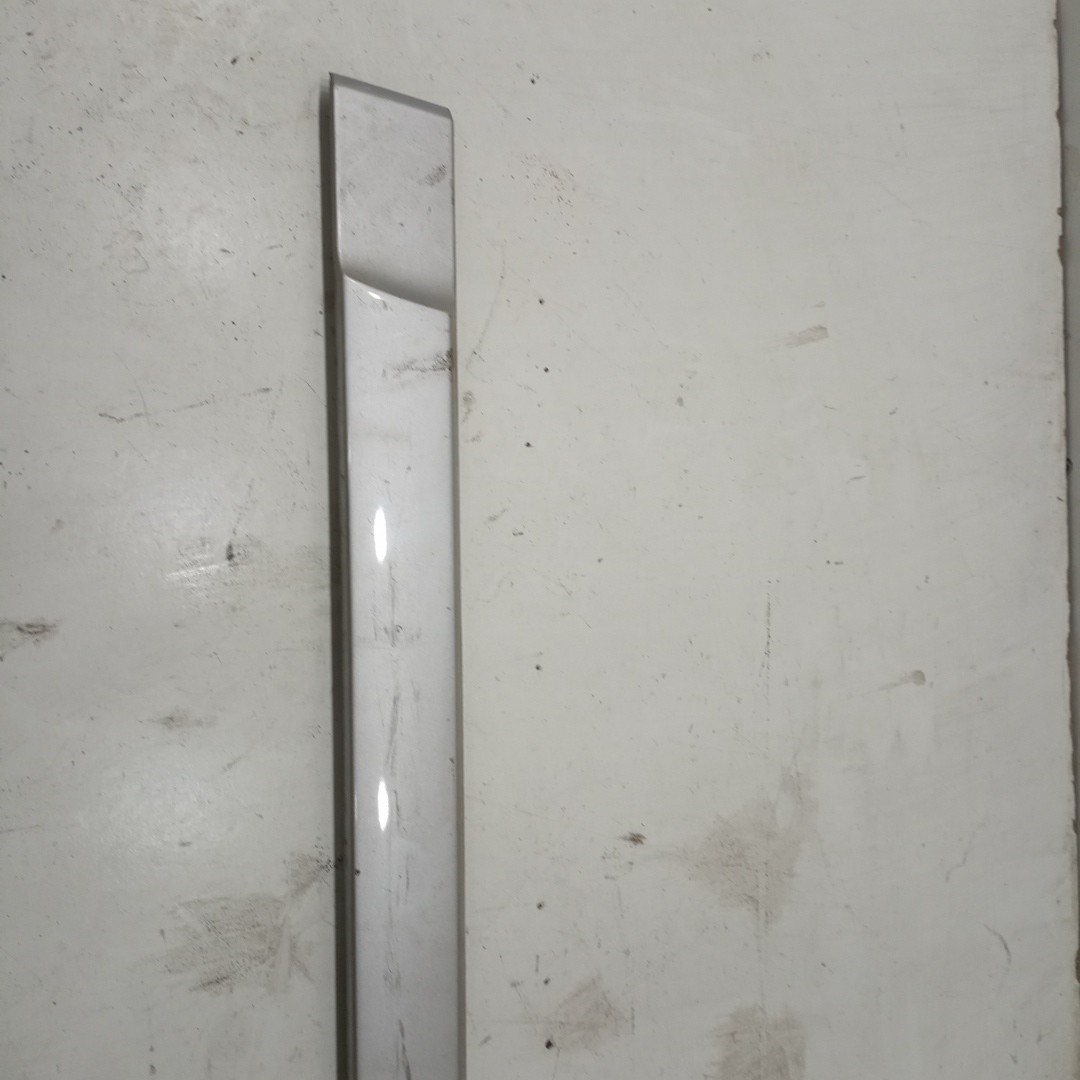 Friso da porta RENAULT MEGANE II (BM0/1_, CM0/1_) | 01 - 12 Imagem-1