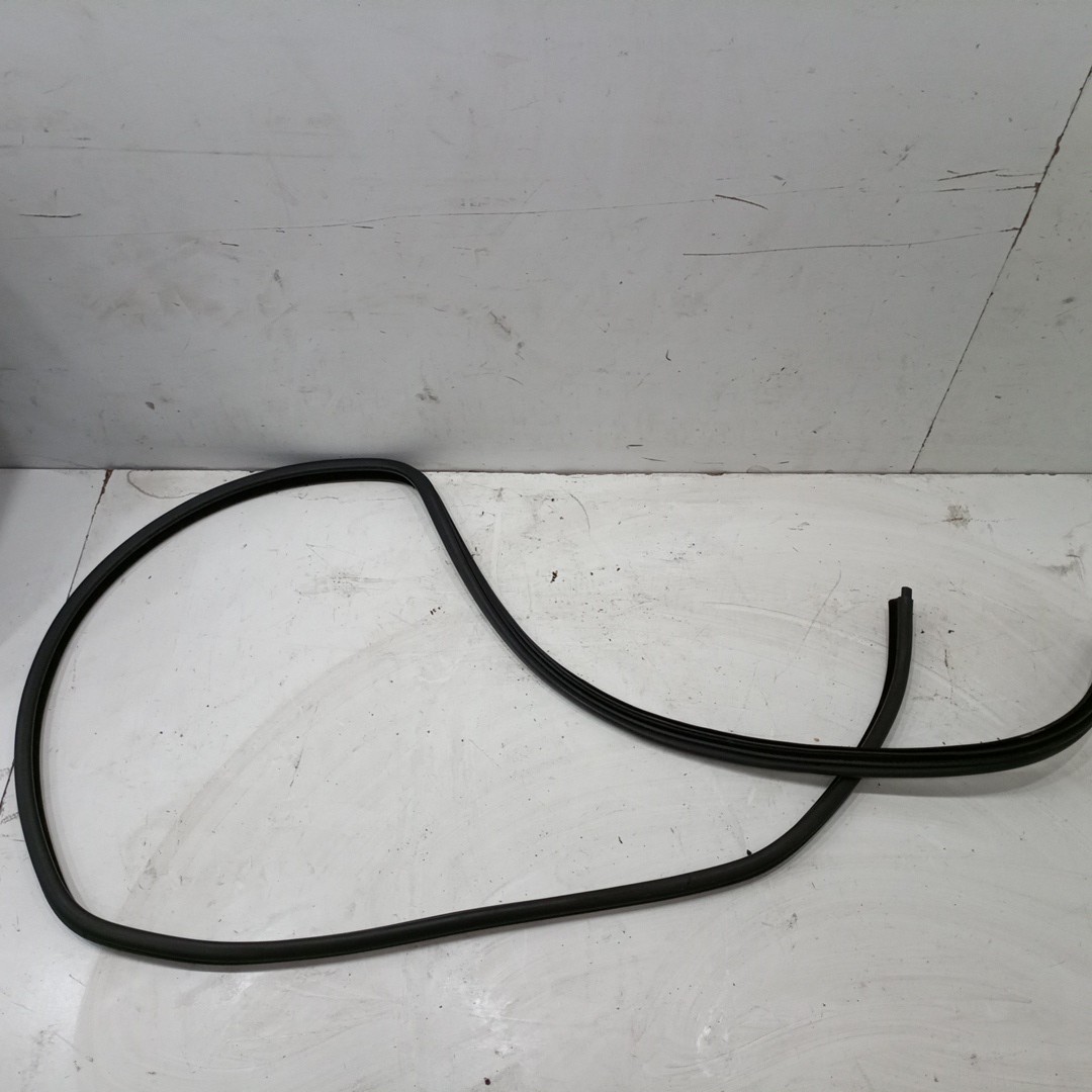 Borracha Da Porta Traseira Direita BMW 3 (E46) | 97 - 05